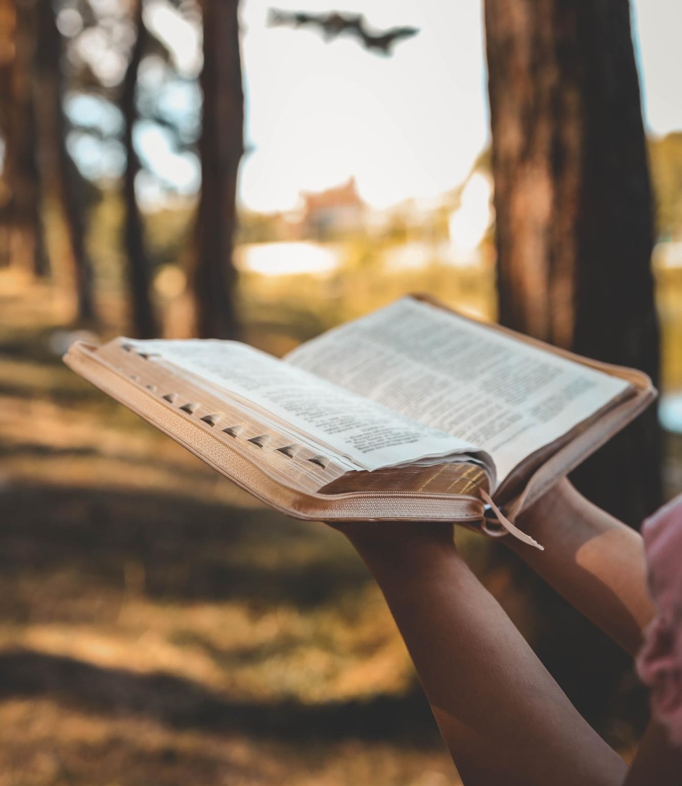 Ministry of Comfort healing of god